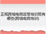 正规跨境电商运营培训班有哪些(跨境电商培训)