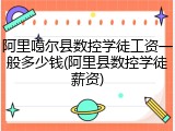 阿里噶尔县数控学徒工资一般多少钱(阿里县数控学徒薪资)