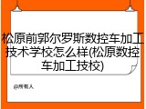 松原前郭尔罗斯数控车加工技术学校怎么样(松原数控车加工技校)