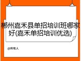郴州嘉禾县单招培训班哪家好(嘉禾单招培训优选)