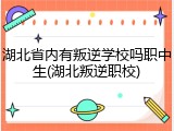 湖北省内有叛逆学校吗职中生(湖北叛逆职校)