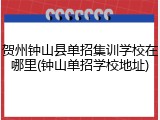 贺州钟山县单招集训学校在哪里(钟山单招学校地址)