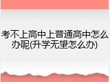 考不上高中上普通高中怎么办呢(升学无望怎么办)