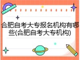 合肥自考大专报名机构有哪些(合肥自考大专机构)