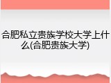 合肥私立贵族学校大学上什么(合肥贵族大学)