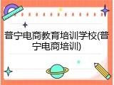普宁电商教育培训学校(普宁电商培训)