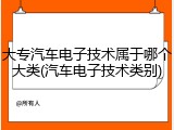 大专汽车电子技术属于哪个大类(汽车电子技术类别)