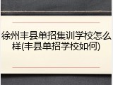 徐州丰县单招集训学校怎么样(丰县单招学校如何)