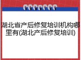 湖北省产后修复培训机构哪里有(湖北产后修复培训)