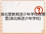 湖北管教叛逆少年学校在哪里(湖北叛逆少年学校)
