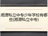 湘潭私立中专少年学校有哪些(湘潭私立中专)