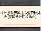 株洲茶陵县数控专业职校排名(茶陵数控职校排名)