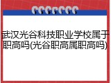 武汉光谷科技职业学校属于职高吗(光谷职高属职高吗)
