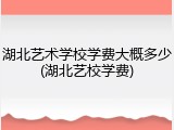 湖北艺术学校学费大概多少(湖北艺校学费)