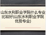 山东水利职业学院什么专业比较好(山东水利职业学院优势专业)