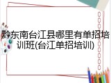 黔东南台江县哪里有单招培训班(台江单招培训)