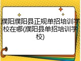 濮阳濮阳县正规单招培训学校在哪(濮阳县单招培训学校)