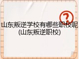 山东叛逆学校有哪些职校呢(山东叛逆职校)