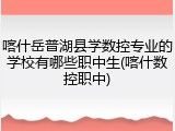 喀什岳普湖县学数控专业的学校有哪些职中生(喀什数控职中)