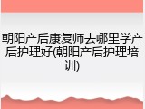 朝阳产后康复师去哪里学产后护理好(朝阳产后护理培训)