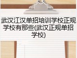 武汉江汉单招培训学校正规学校有那些(武汉正规单招学校)