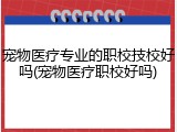 宠物医疗专业的职校技校好吗(宠物医疗职校好吗)