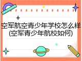 空军航空青少年学校怎么样(空军青少年航校如何)