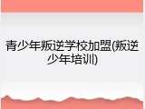 青少年叛逆学校加盟(叛逆少年培训)
