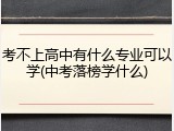 考不上高中有什么专业可以学(中考落榜学什么)
