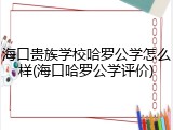 海口贵族学校哈罗公学怎么样(海口哈罗公学评价)