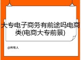 大专电子商务有前途吗电商类(电商大专前景)