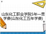 山东化工职业学院5年一贯学费(山东化工五年学费)