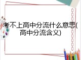 考不上高中分流什么意思(高中分流含义)