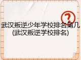 武汉叛逆少年学校排名第几(武汉叛逆学校排名)