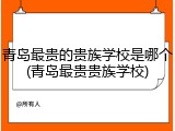 青岛最贵的贵族学校是哪个(青岛最贵贵族学校)