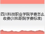 四川科技职业学院学费怎么收费(川科职院学费标准)