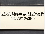 武汉市财经中专技校怎么样(武汉财校如何)