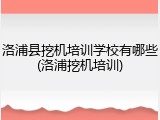 洛浦县挖机培训学校有哪些(洛浦挖机培训)