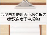武汉自考培训职中怎么报名(武汉自考职中报名)