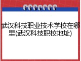 武汉科技职业技术学校在哪里(武汉科技职校地址)