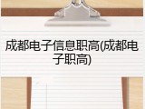 成都电子信息职高(成都电子职高)
