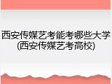 西安传媒艺考能考哪些大学(西安传媒艺考高校)
