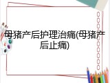 母猪产后护理治痛(母猪产后止痛)