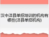 汉中洋县单招培训的机构有哪些(洋县单招机构)