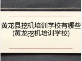 黄龙县挖机培训学校有哪些(黄龙挖机培训学校)