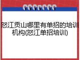 怒江贡山哪里有单招的培训机构(怒江单招培训)