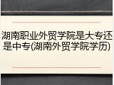 湖南职业外贸学院是大专还是中专(湖南外贸学院学历)