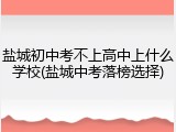 盐城初中考不上高中上什么学校(盐城中考落榜选择)