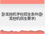 卧龙挖机学校招生条件(卧龙挖机招生要求)