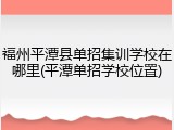 福州平潭县单招集训学校在哪里(平潭单招学校位置)